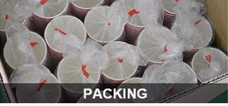 Takeaway Coffee Cups cc19 Takeaway Coffee Cups