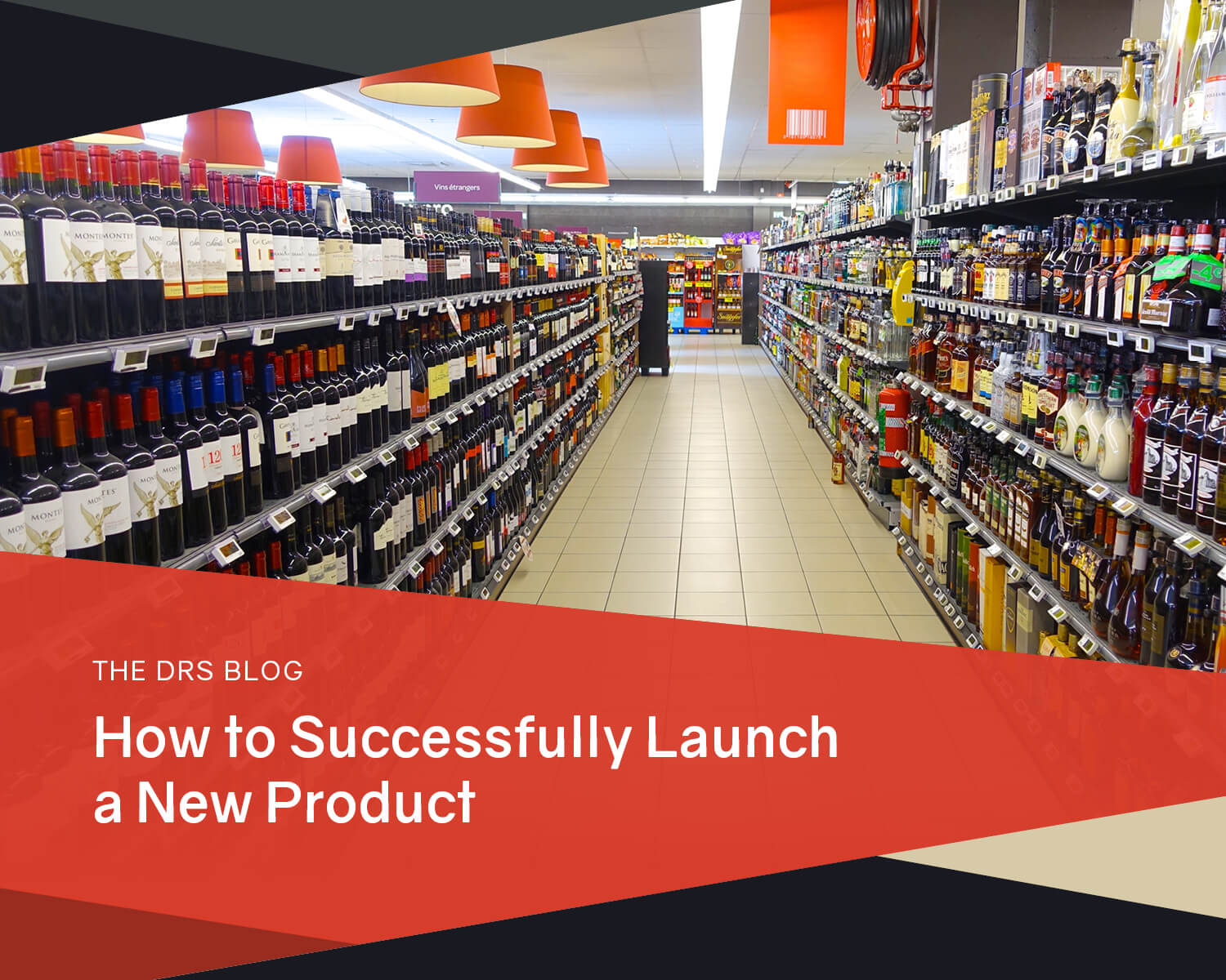 How to Successfully Launch a New Product