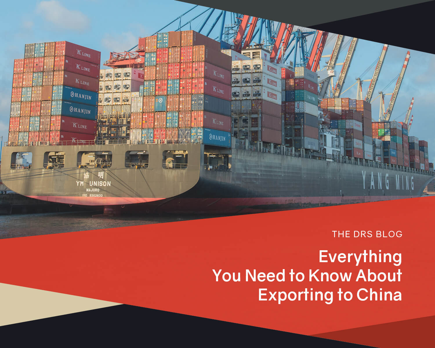 Everything You Need to Know about Export to China